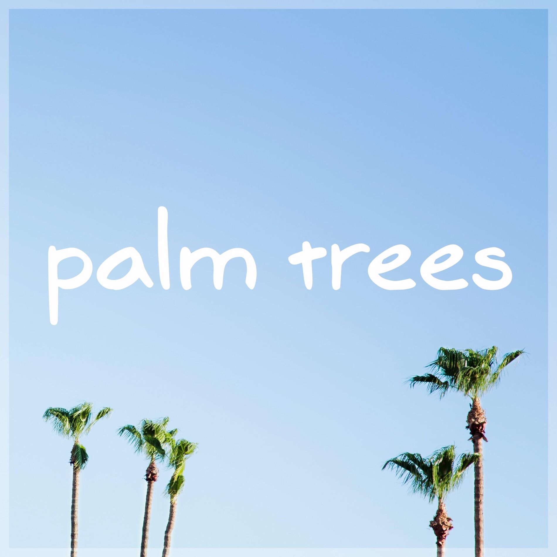 Album cover of Palm Trees