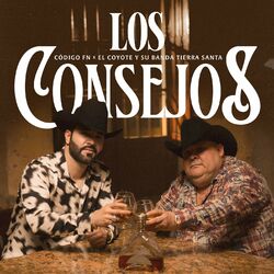 Cover of Los Consejos
