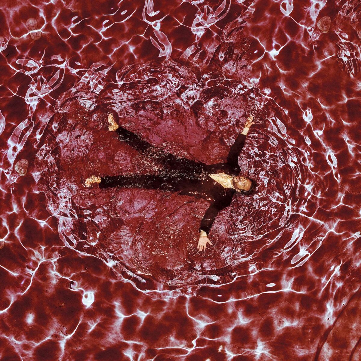 Album cover of Muse In Motion