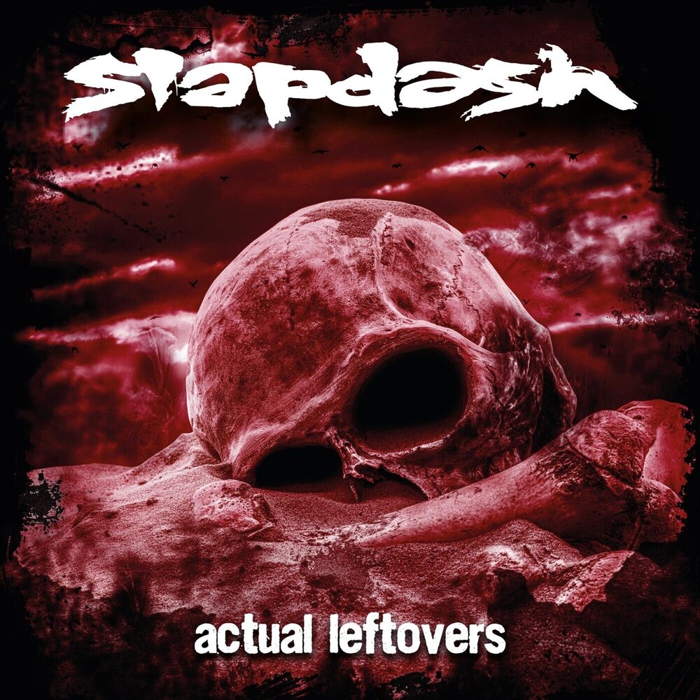 Picture of Actual Leftovers