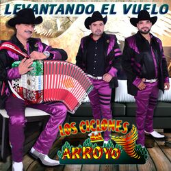 Cover of Levantando el Vuelo