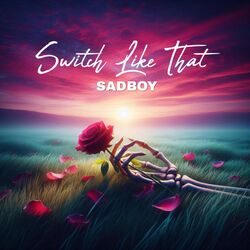 Cover of Switch Like That