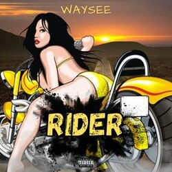 Cover of Rider