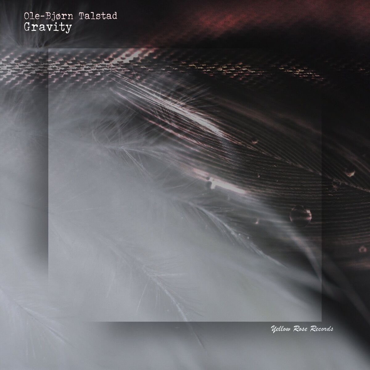 Album cover of Gravity