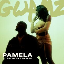Cover of PAMELA