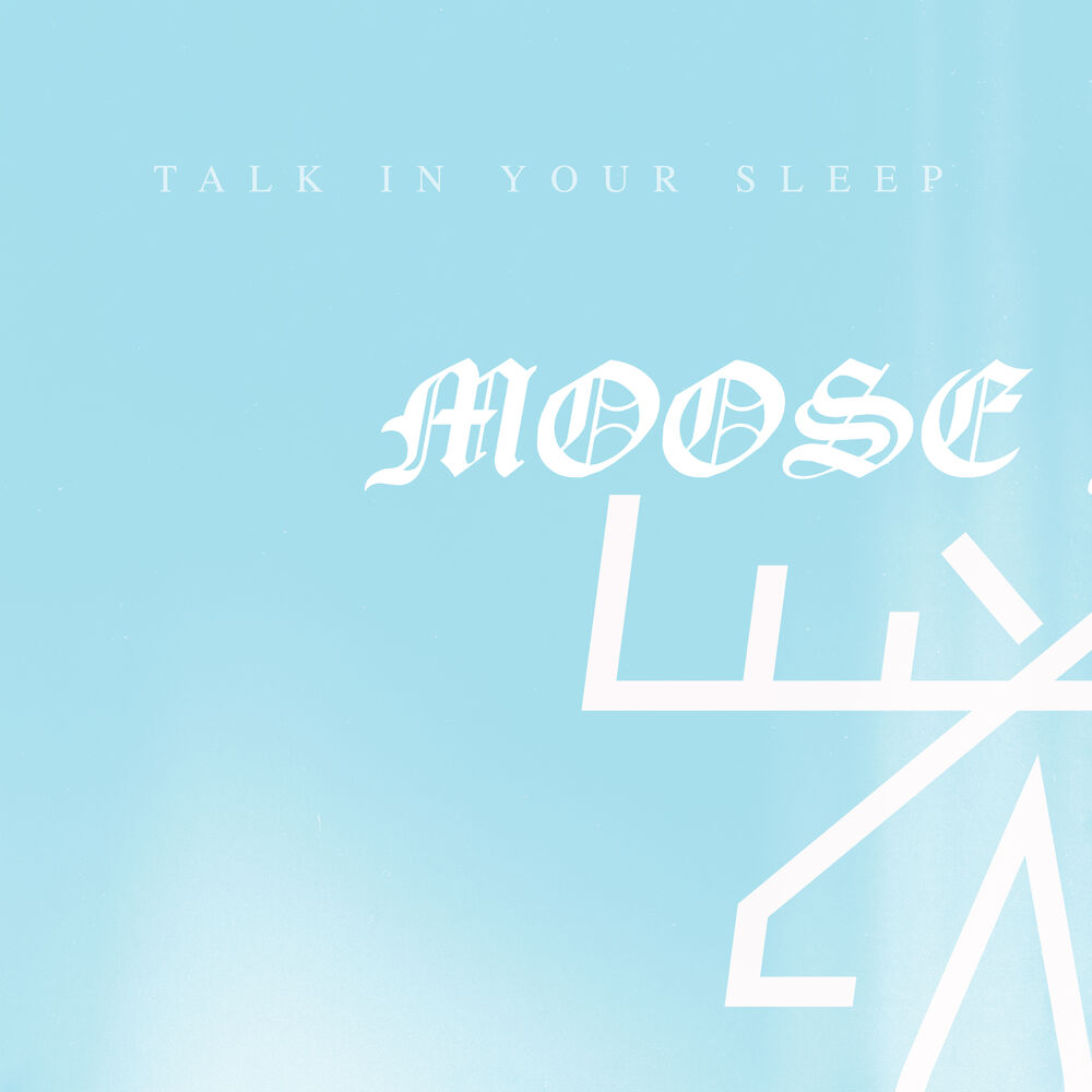 Picture of Talk In Your Sleep