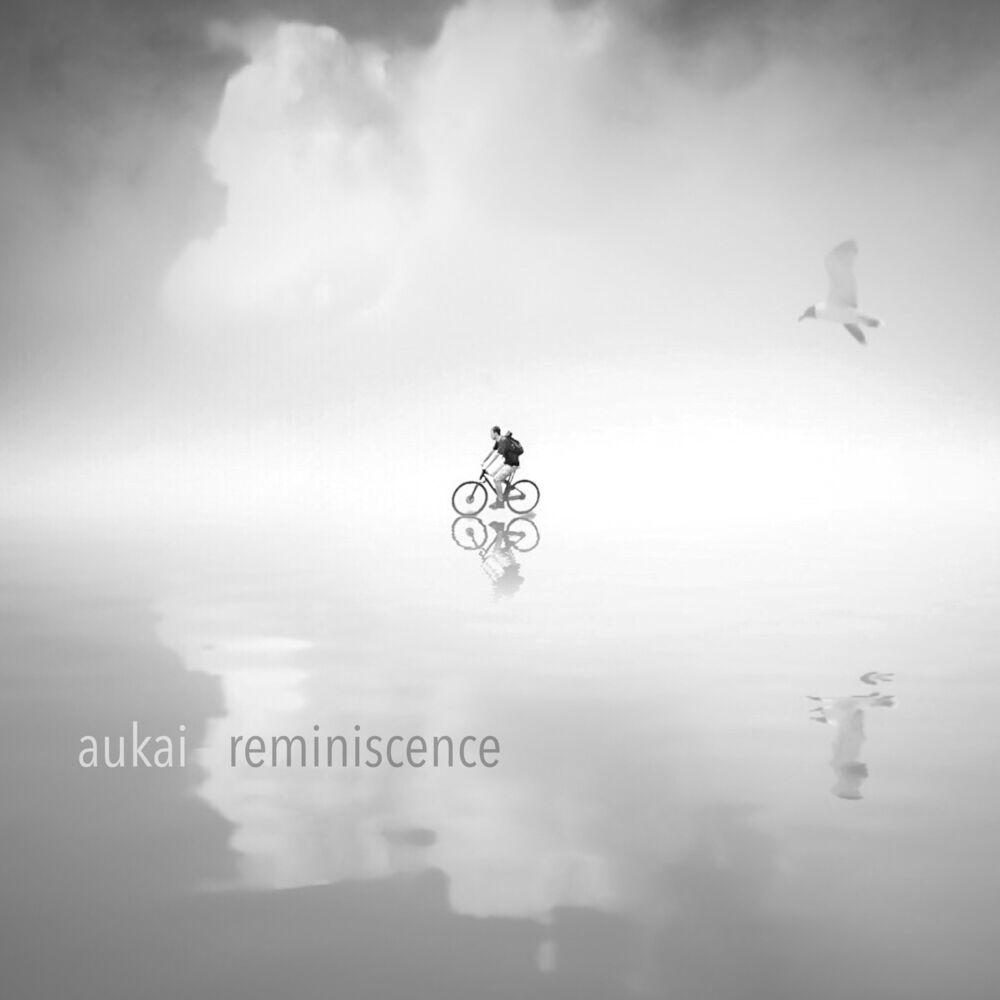 Picture of Reminiscence