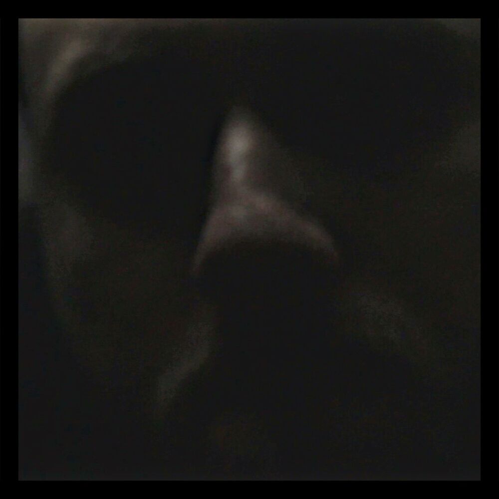 Picture of Genug ist genug