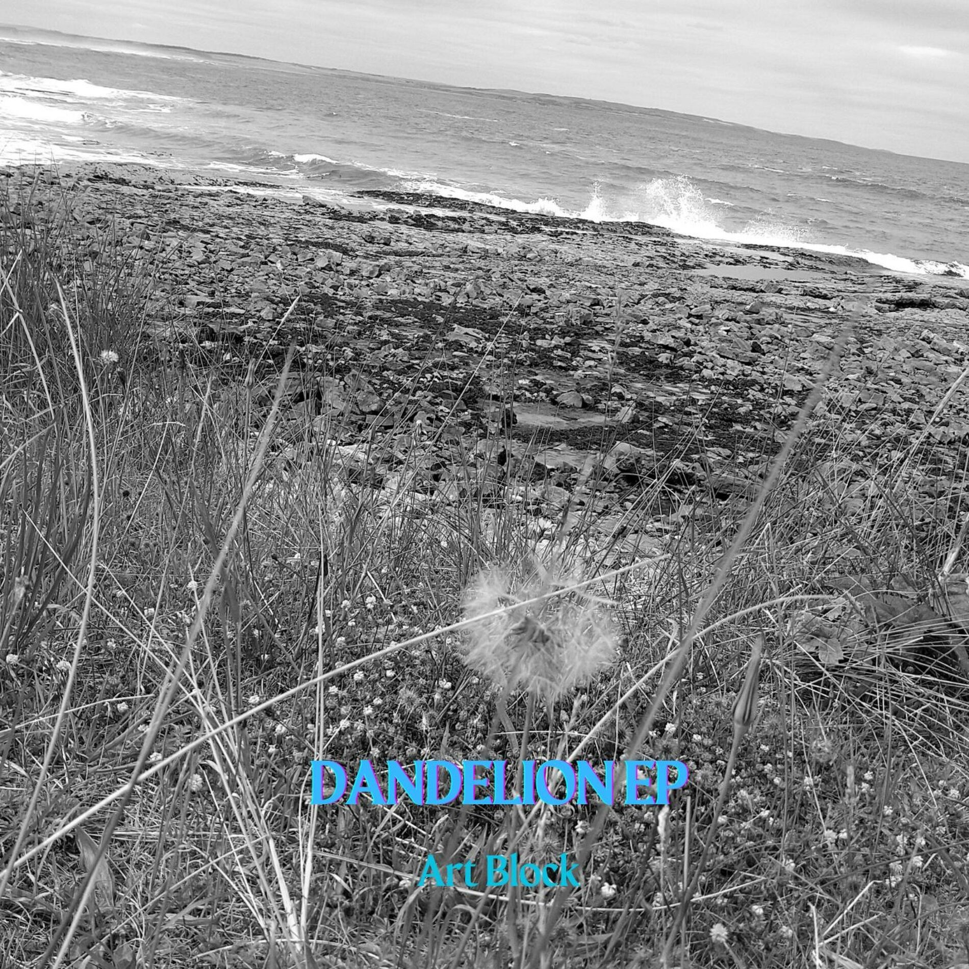 Album cover of Dandelion EP