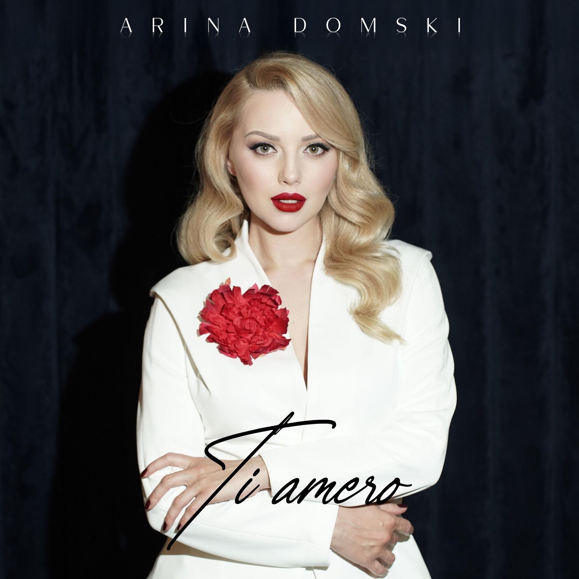Album cover of Ti Amero