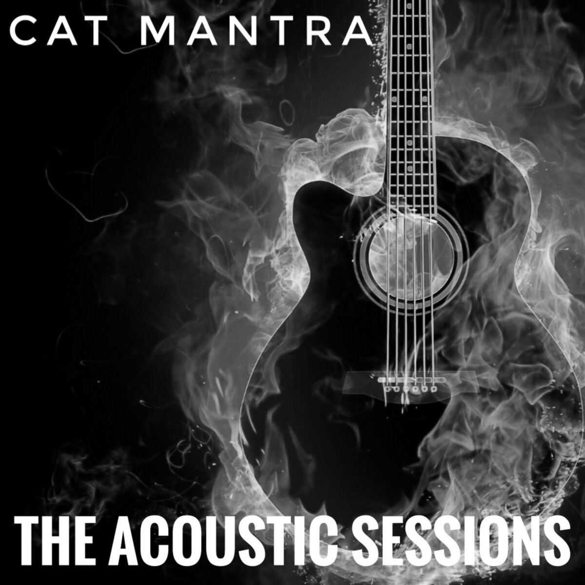 Album cover of The Acoustic Sessions