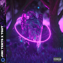 Cover of Lookin Out