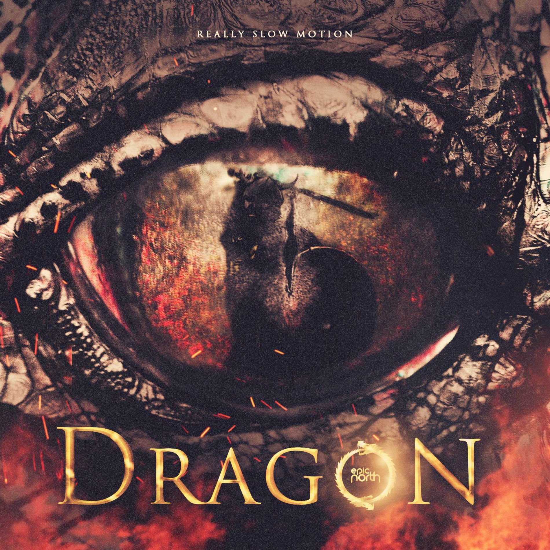 Album cover of Iron