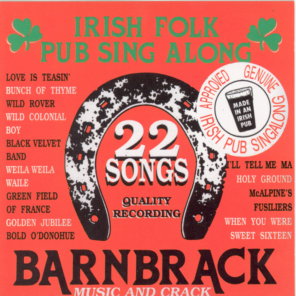 Picture of 22 Irish Folk Pub Songs