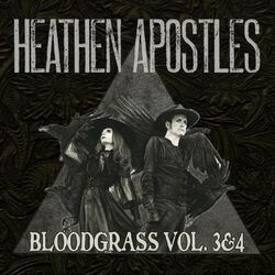 Cover of Bloodgrass, Vol. 3 & 4