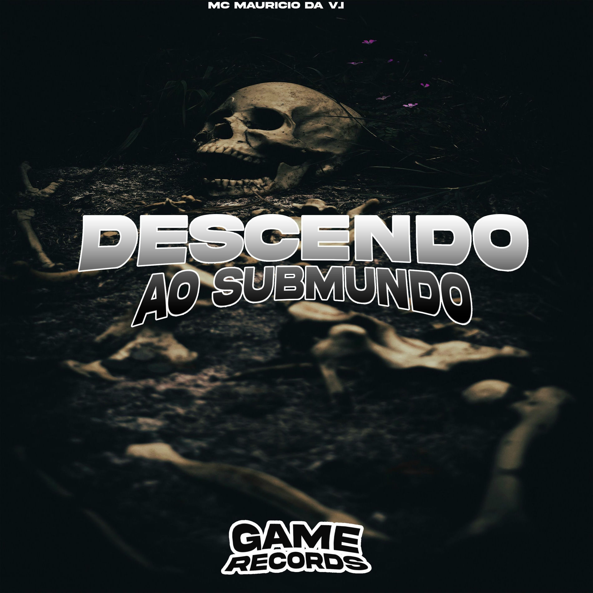 Album cover of Descendo ao Submundo