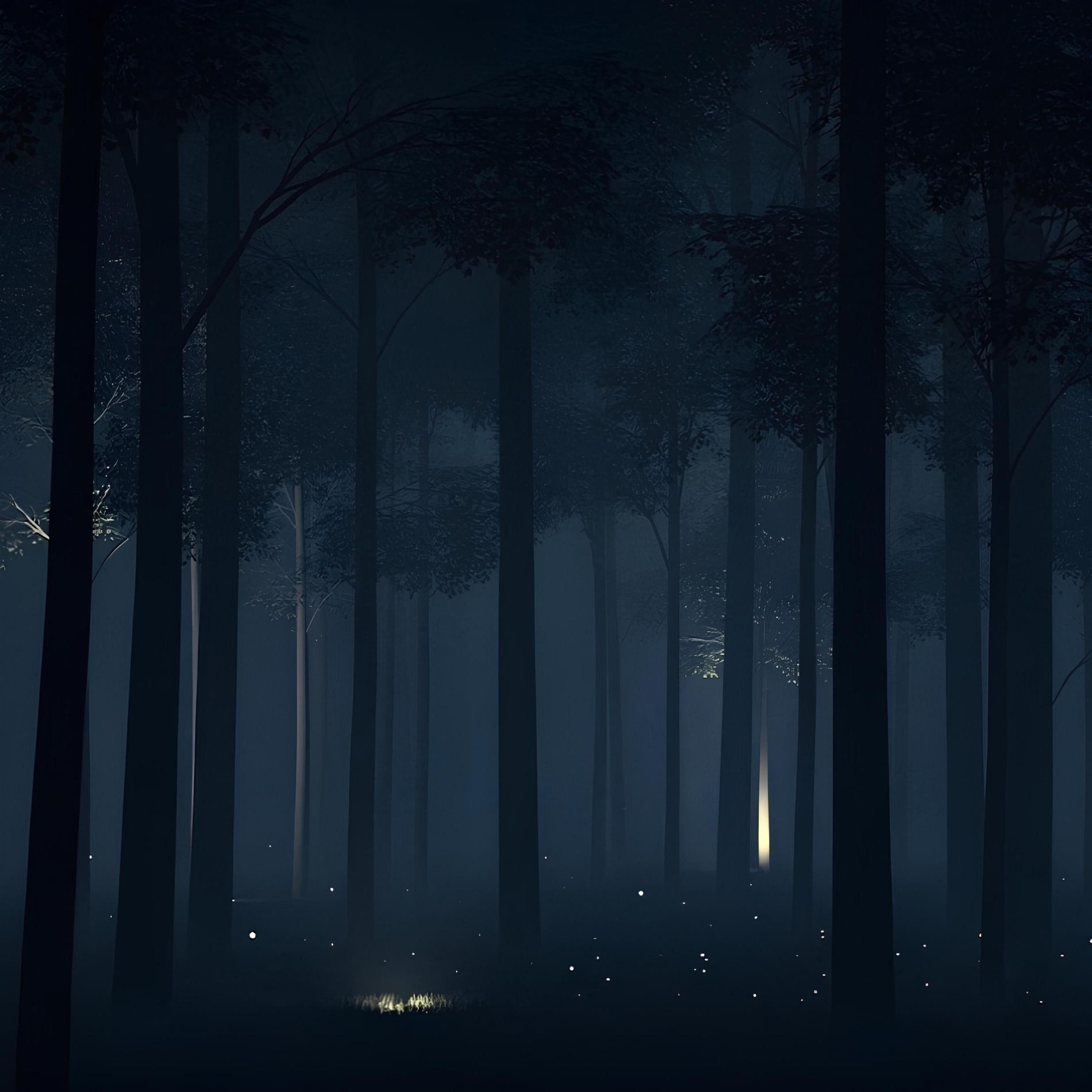 Album cover of Nocturnal