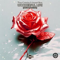music cover