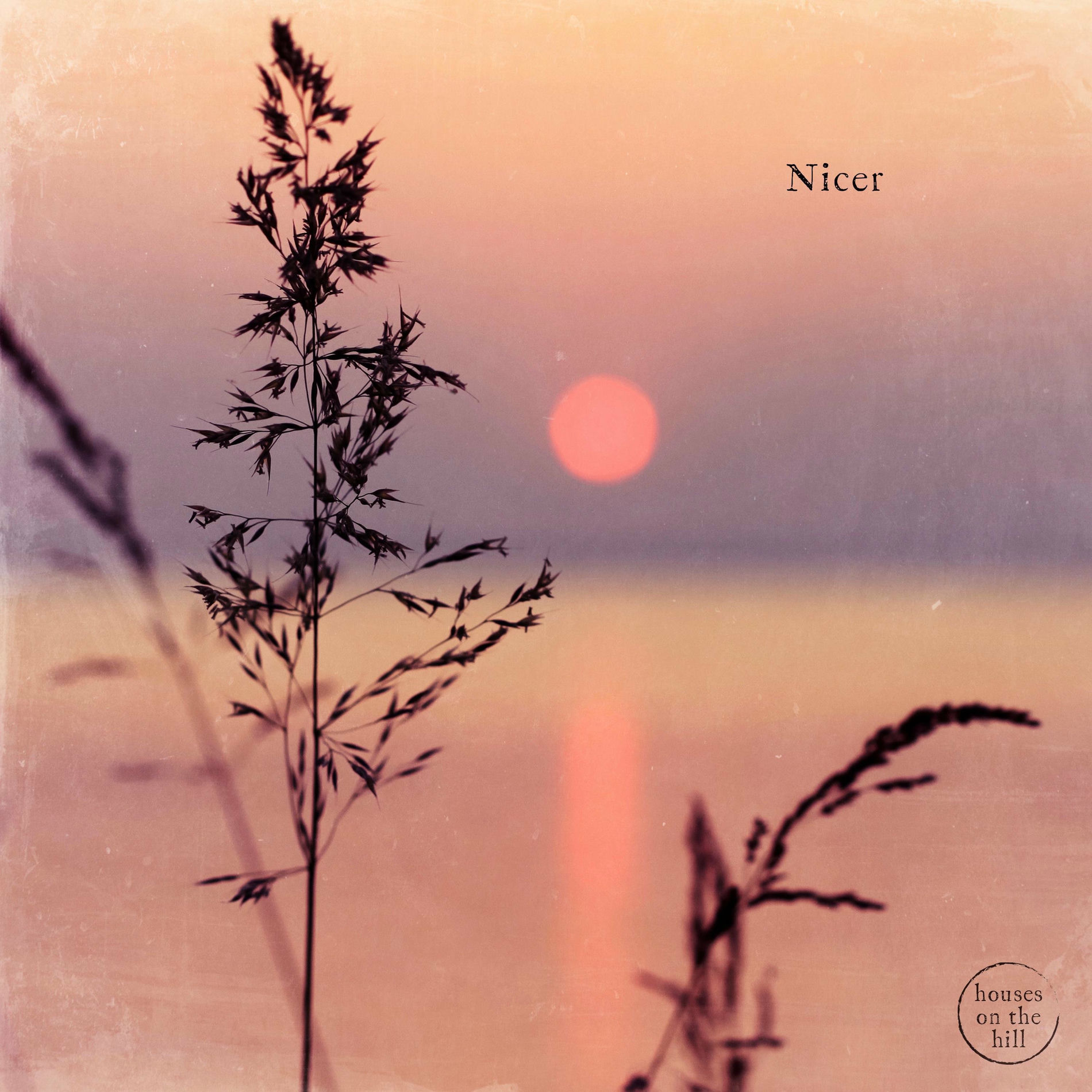 Album cover of Nicer