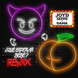 Cover of ¿QUE ESPERAS BEBE? REMIX