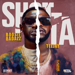 Pochette album