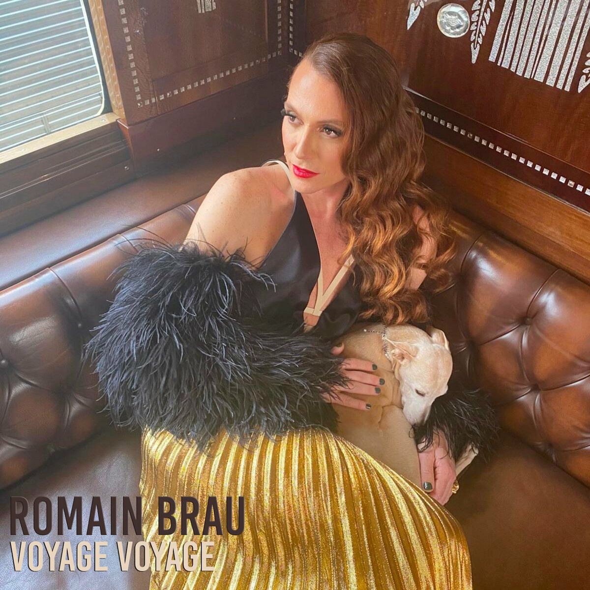 Album cover of Voyage Voyage
