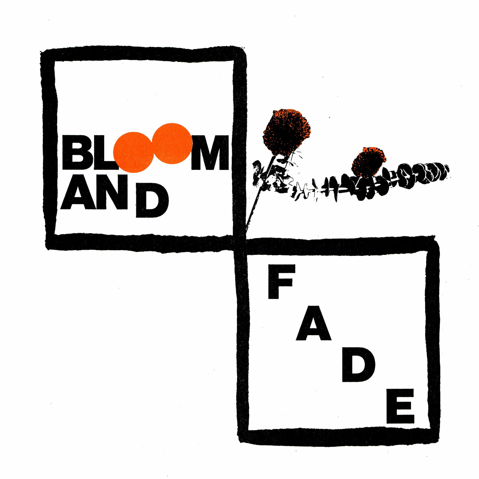 Album cover of Bloom and Fade