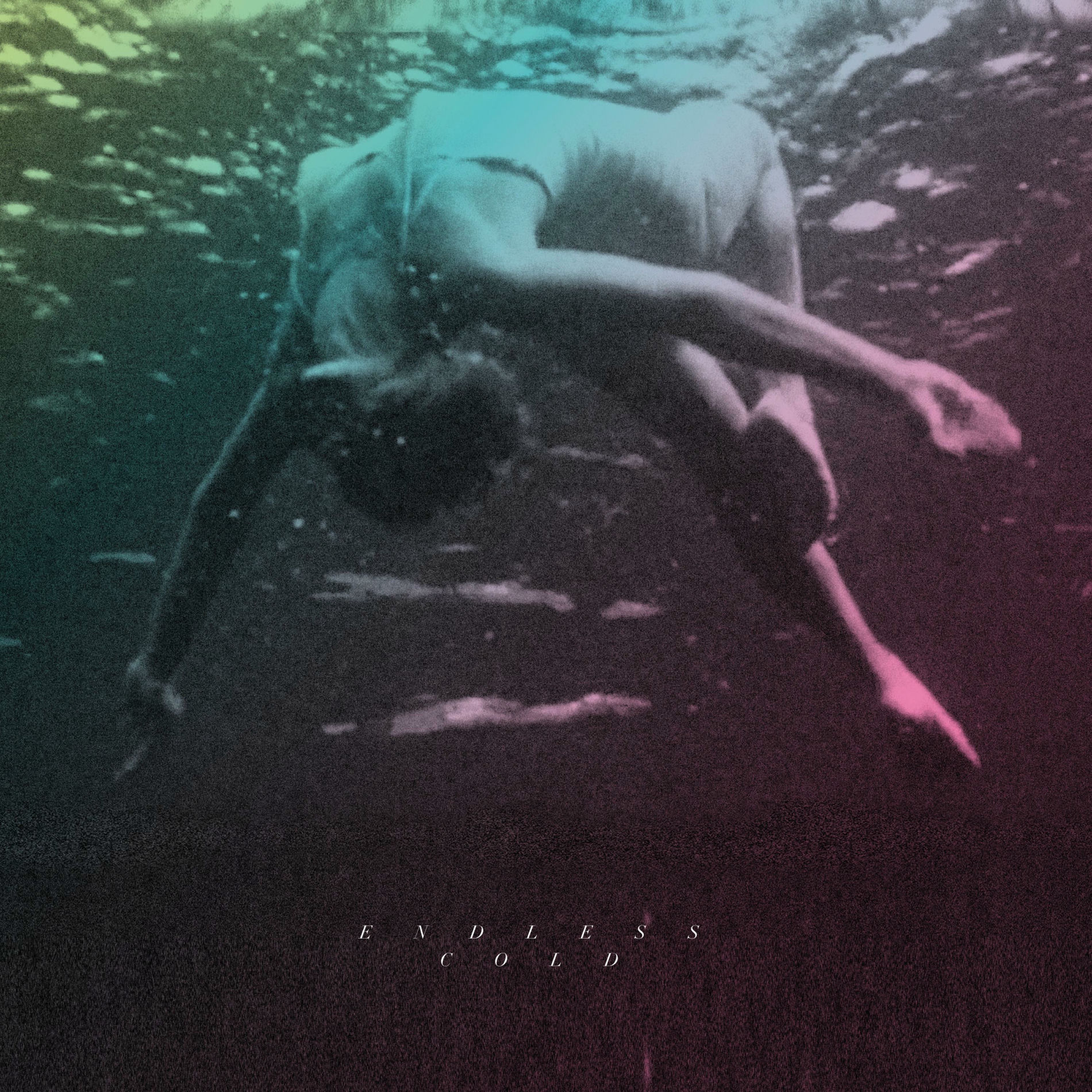 Album cover of Endless Cold