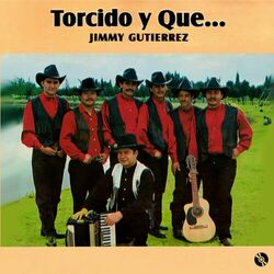 Cover of Torcido y Qué...
