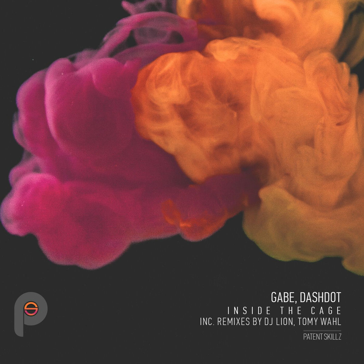 Album cover of Inside the Cage