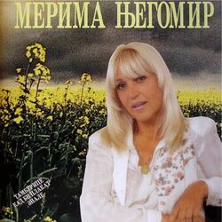 Cover of Tamburice kad bi plakat znale