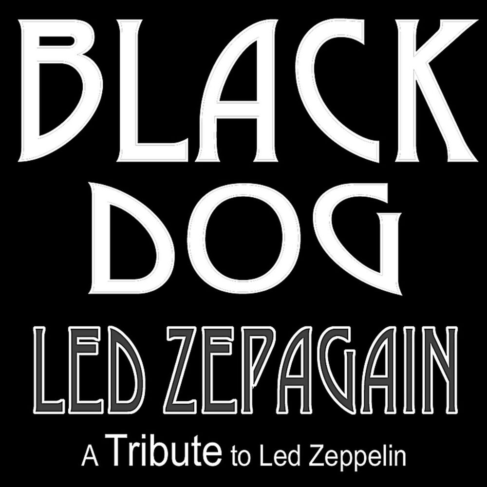 Picture of Black Dog - a Tribute to Led Zeppelin