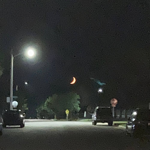 moonlight artwork