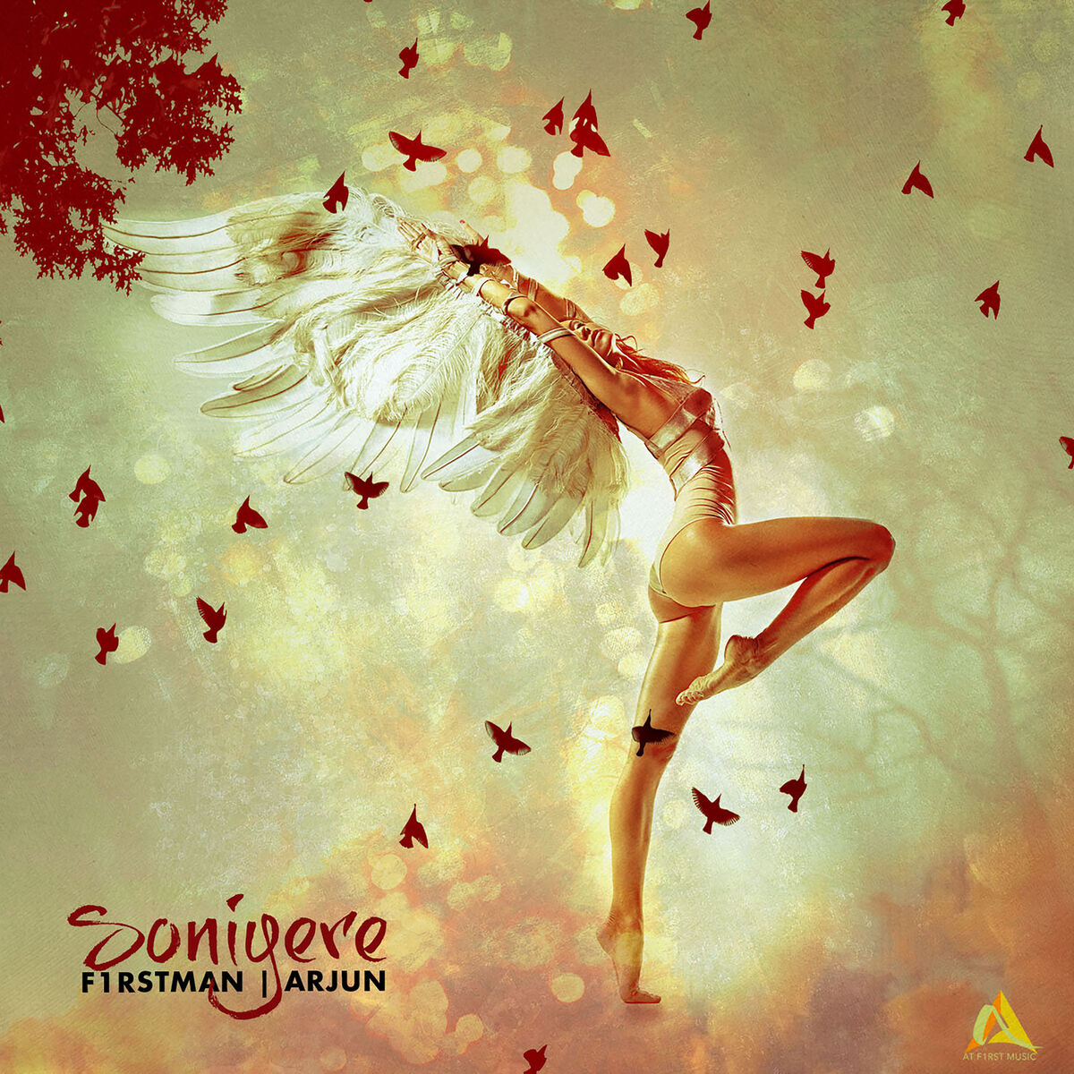 Album cover of Soniyere