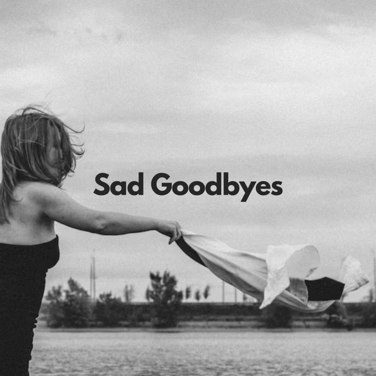 Album cover of Sad Goodbyes
