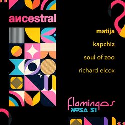 Cover of Flamingos