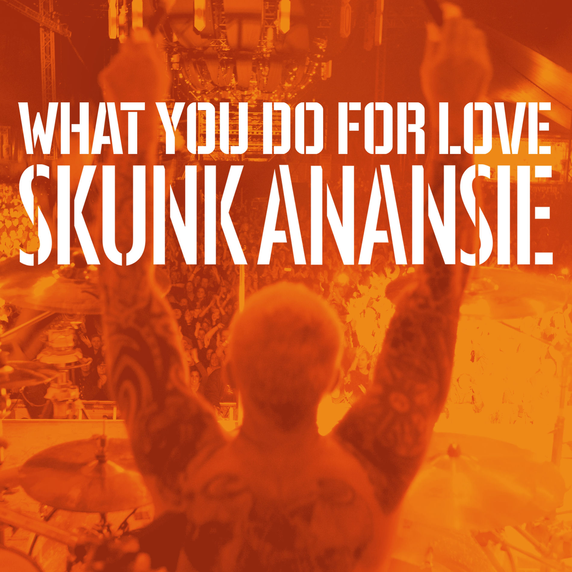 Album cover of What You Do For Love