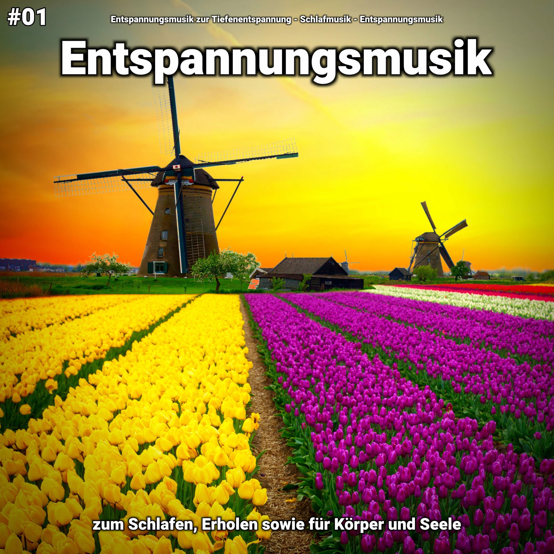 Album cover of #01 Entspannungsmusik zum Schlafen, Erholen sowie für Körper und Seele