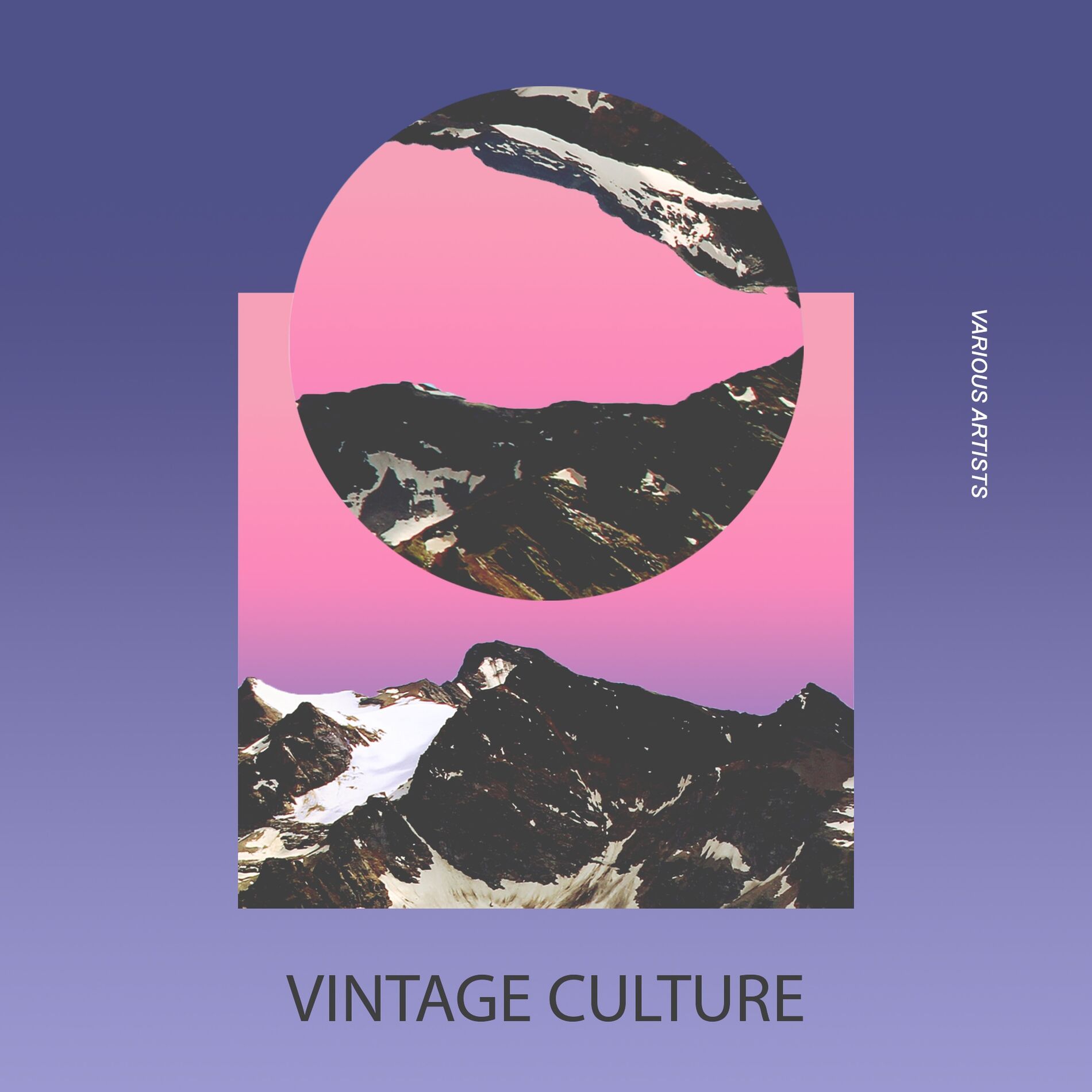 Album cover of Vintage Culture