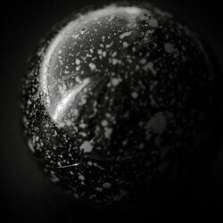 Cover of Void