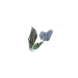Pochette album