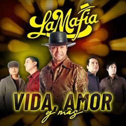 Cover of Vida, Amor Y Más