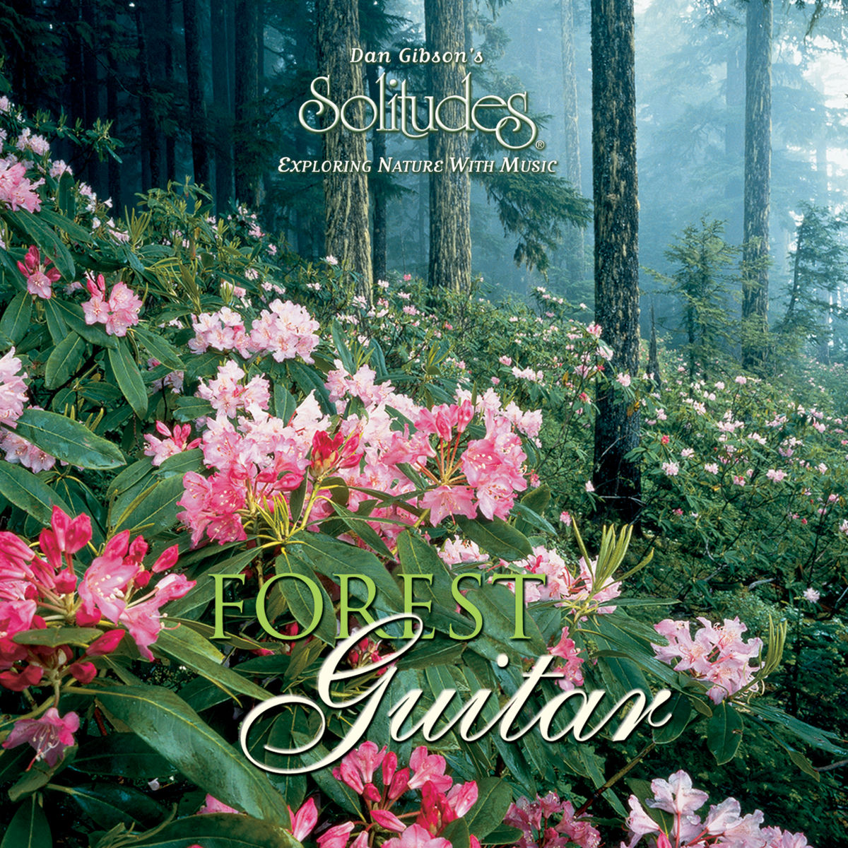 Album cover of Forest Guitar