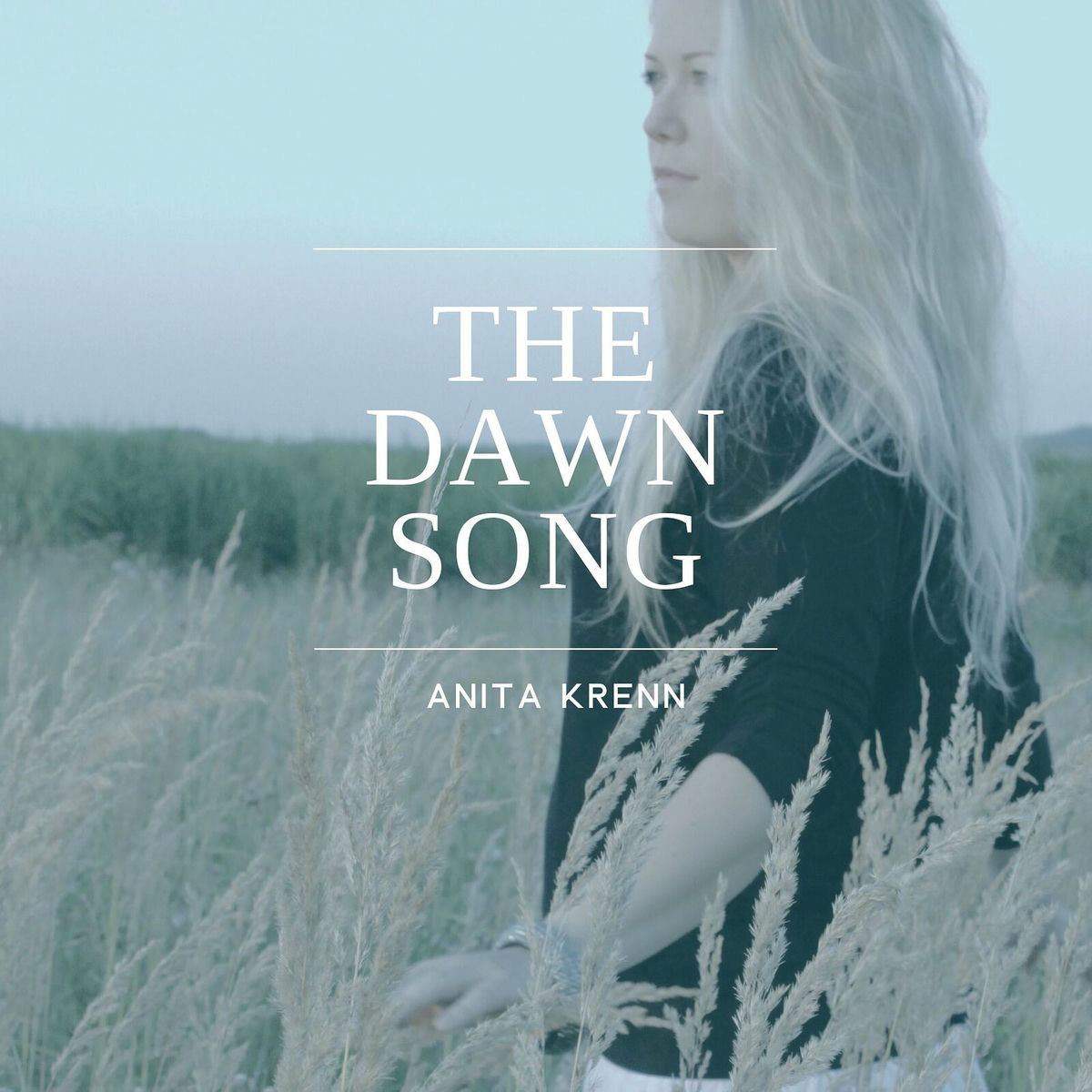 Album cover of The Dawn Song
