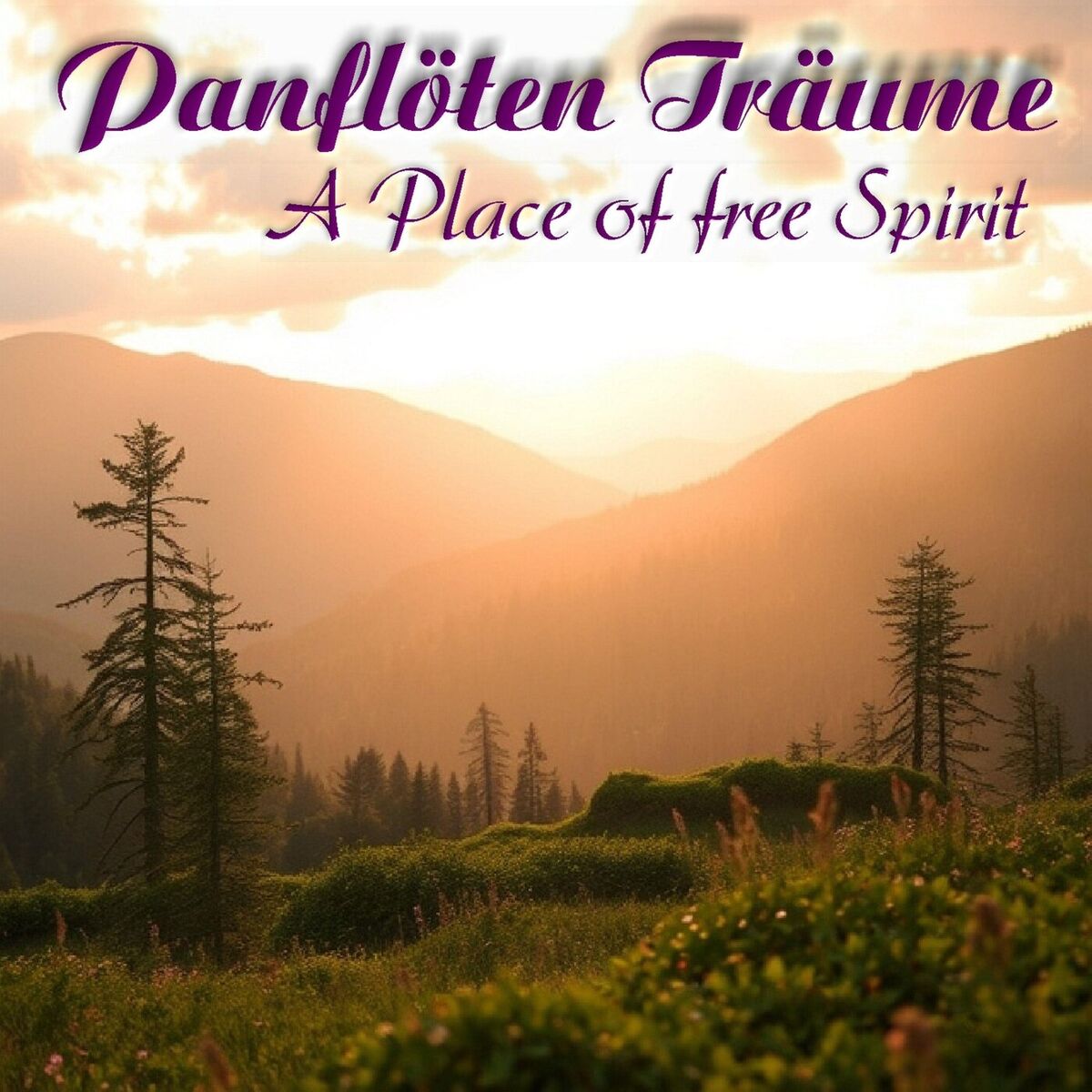 Album cover of A Place of free Spirit