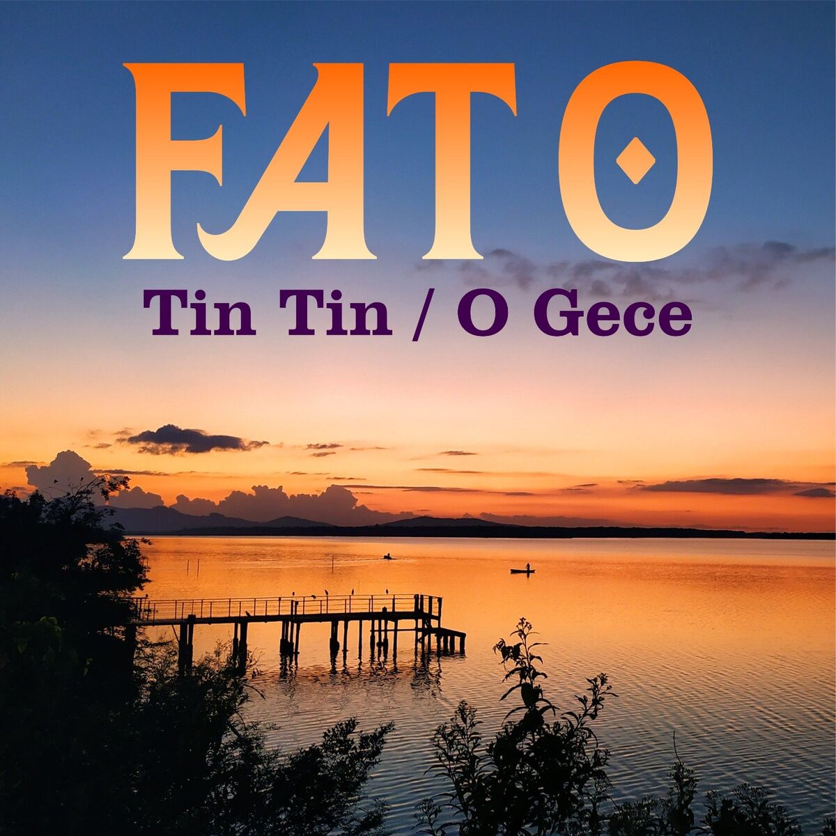 Album cover of Tin Tin (O Gece)