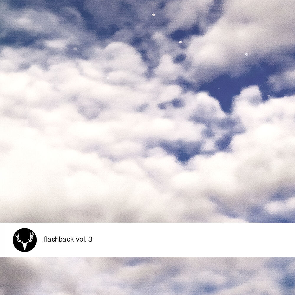 Picture of Flashback Vol. 3