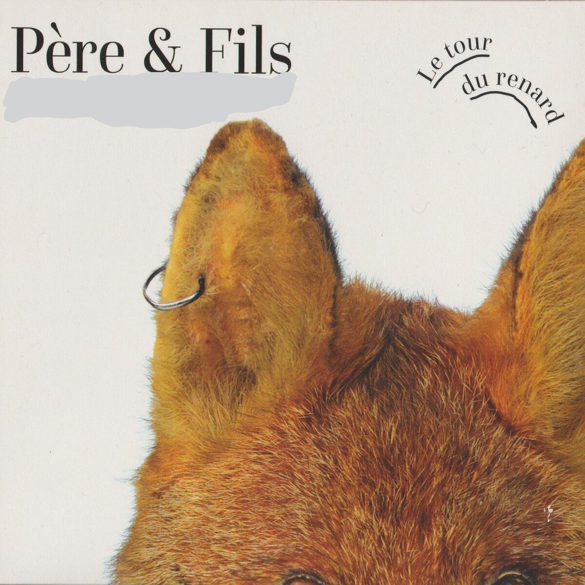 Album cover of Bienvenue dans le Nord Pas de Calais