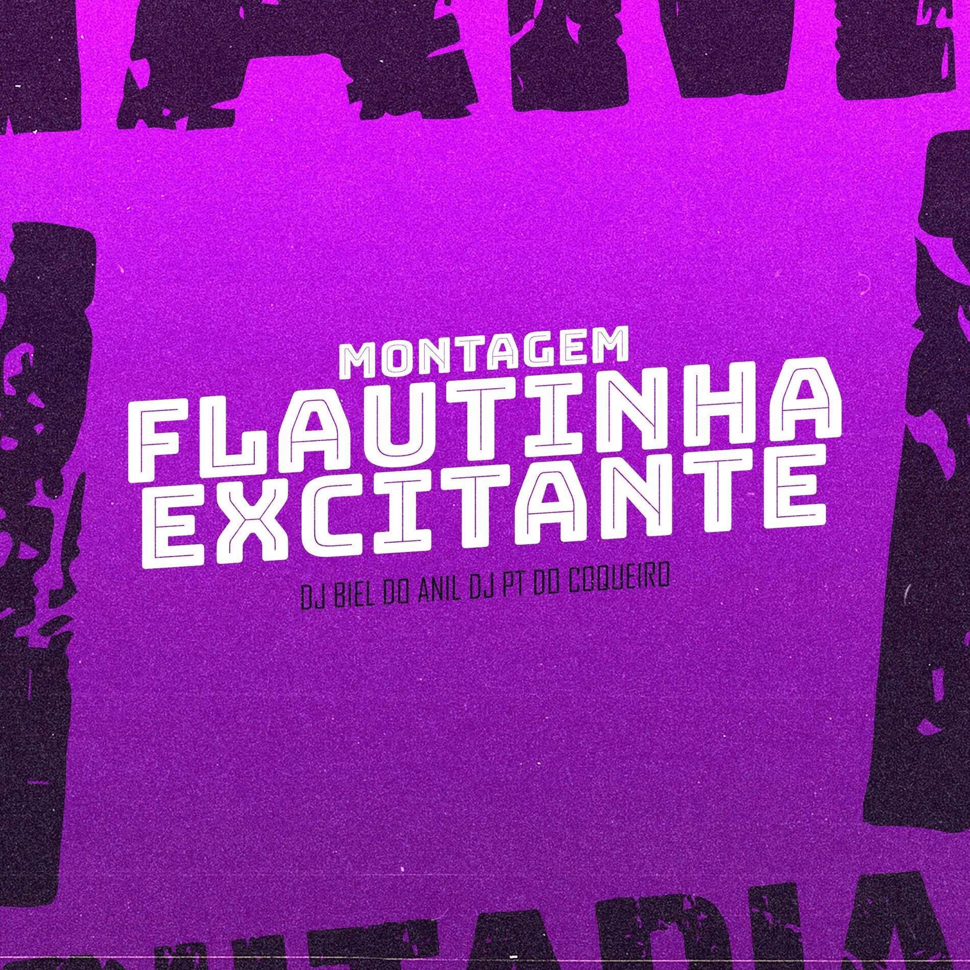 Album cover of MONTAGEM FLAUTINHA EXCITANTE