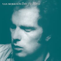 Cover of Into the Music